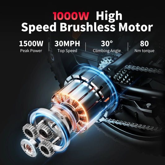 Electric Bike 1000W Motor Bicycle 48V 20AH 20“Tires